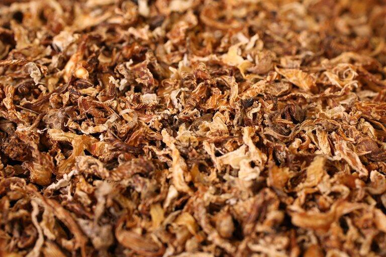 dried-pulp